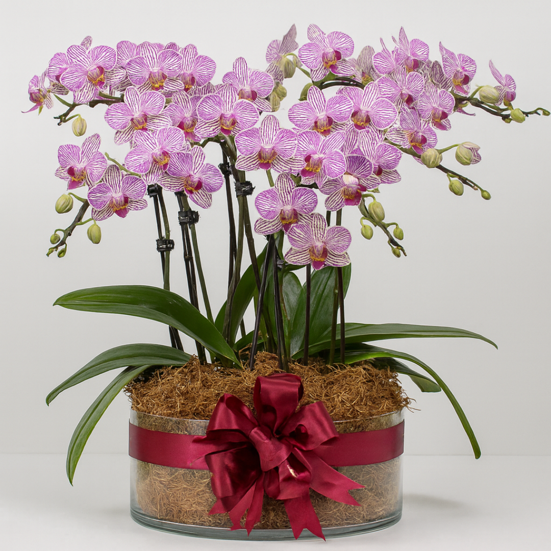 Monthly Subscription: 9 Medium Stems Delivered Monthly