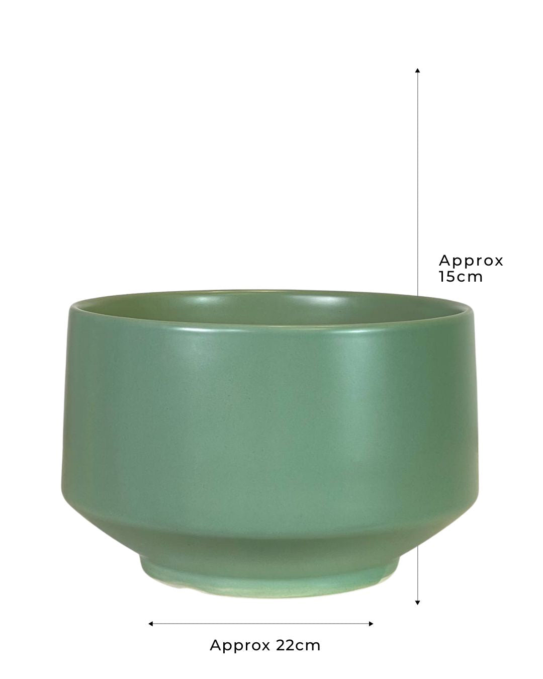 Amphora