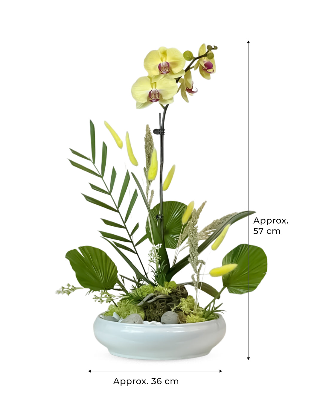 Ikebana Orchid