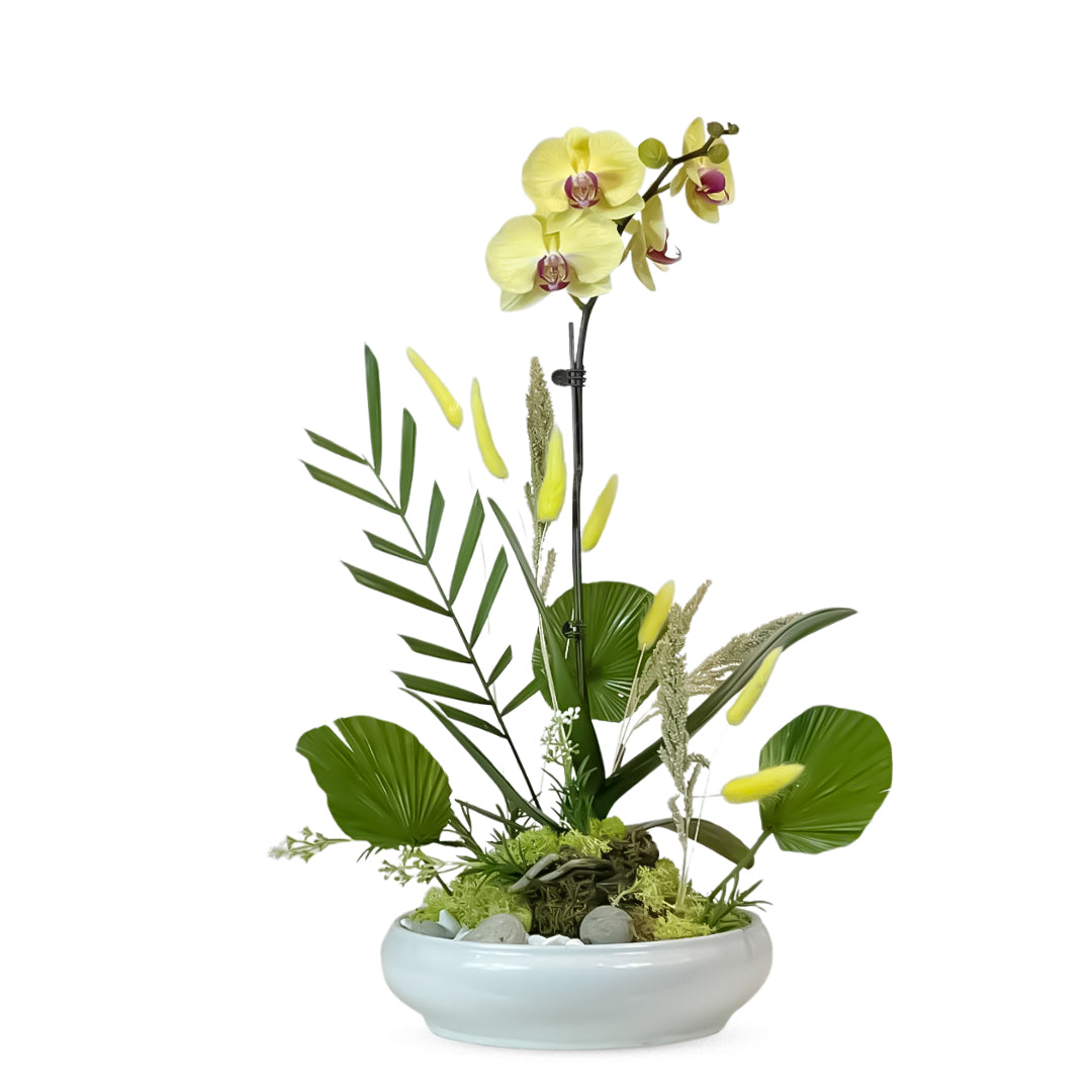 Ikebana Orchid