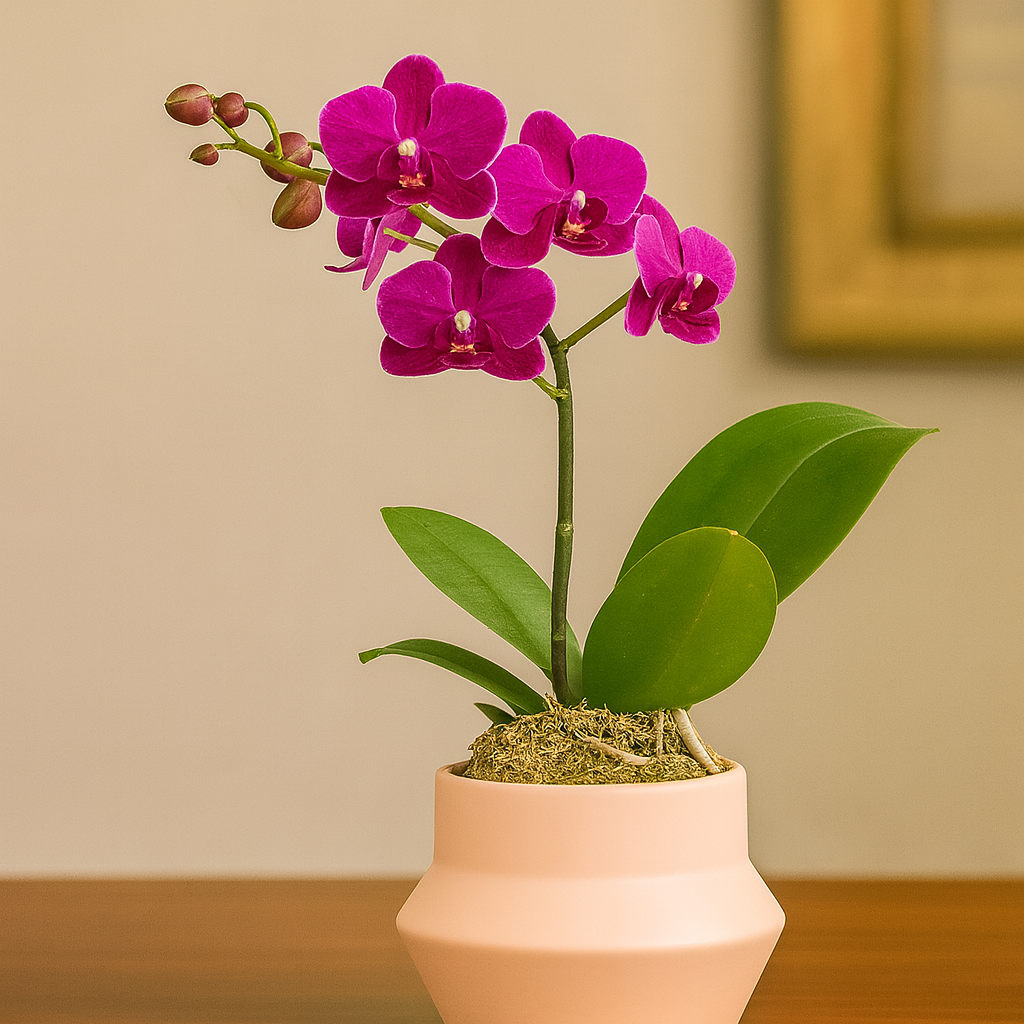 Monthly Subscription: 1 Medium Stem Delivered Monthly