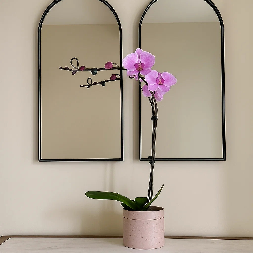 Monthly Subscription: 1 Large Stem Delivered Monthly
