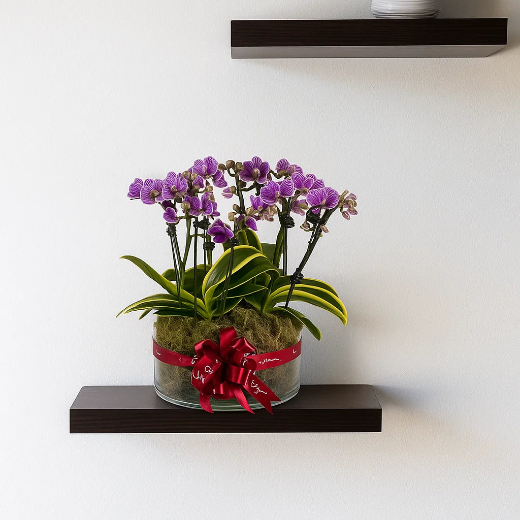 Monthly Subscription: 10 Medium Stems Delivered Monthly