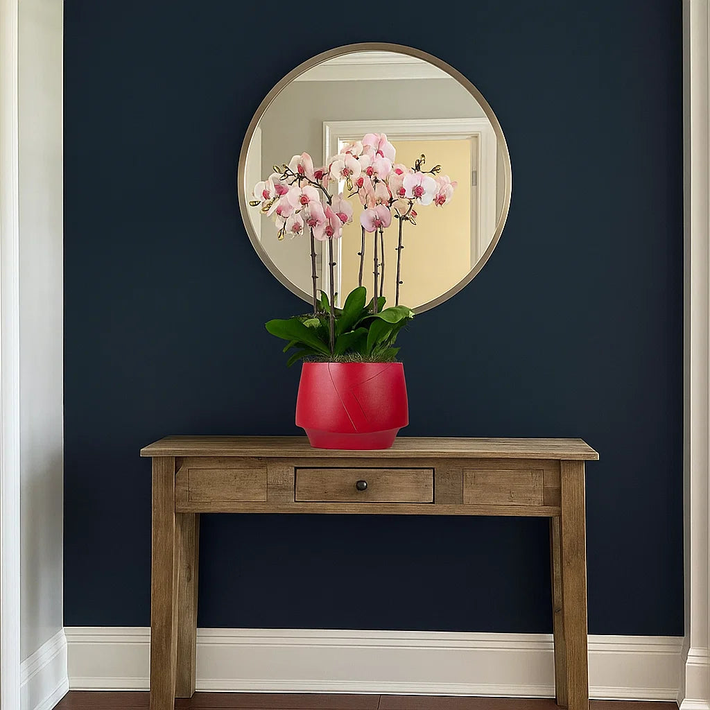 Monthly Subscription: 7 Large Stems Delivered Monthly
