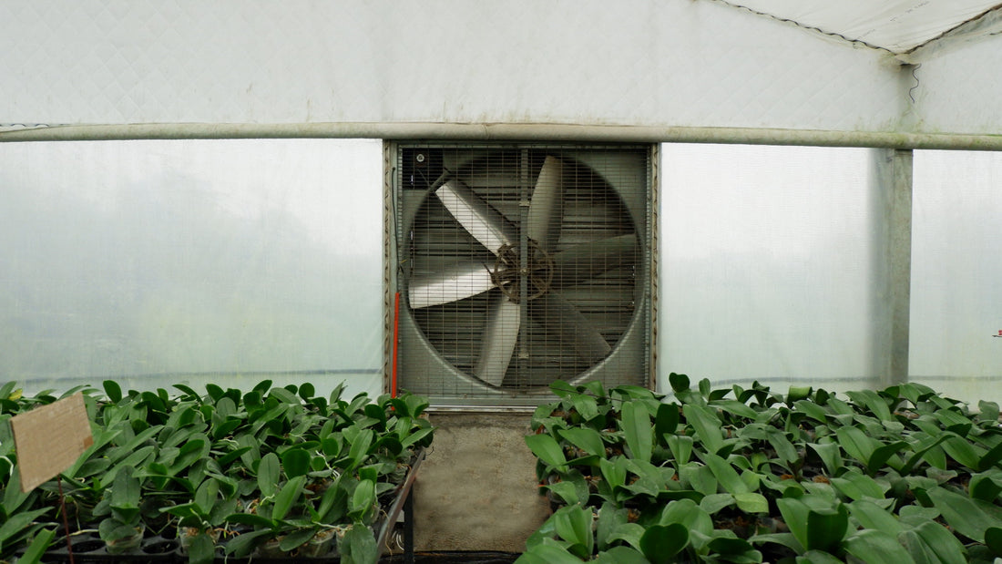 Cooling and Ventilation System