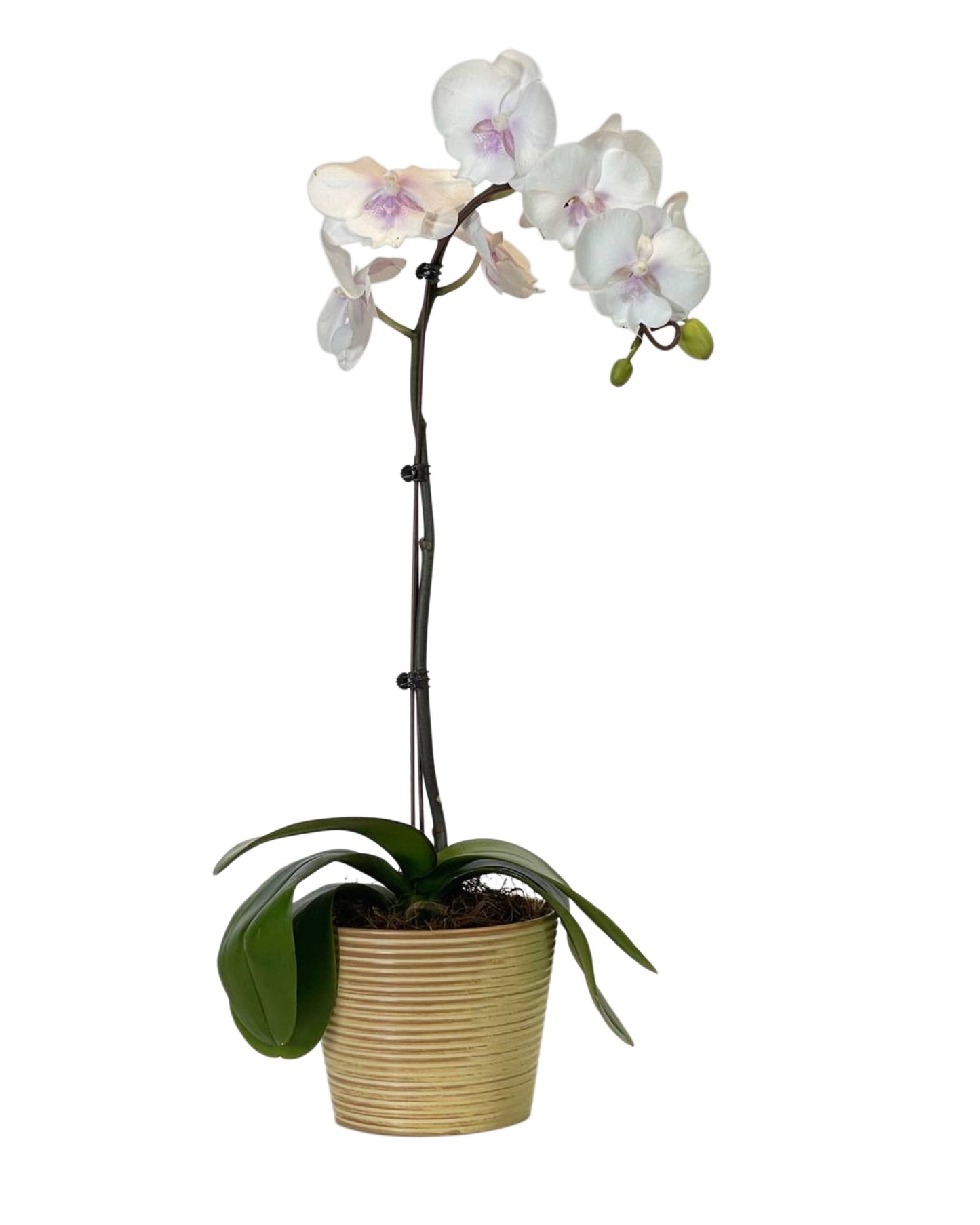 Lei