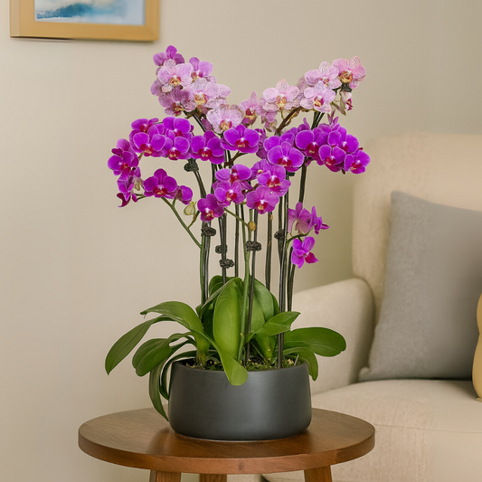 Monthly Subscription: 9 Medium Stems Delivered Monthly