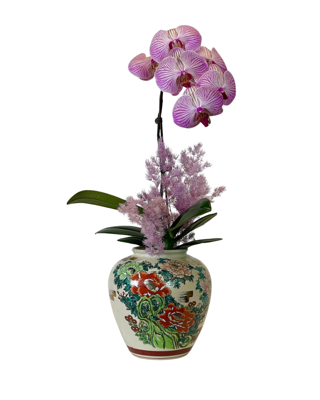 The Empress's Orchid