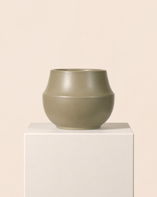 Clay Siena