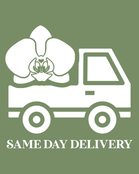 Same Day Delivery  Priority