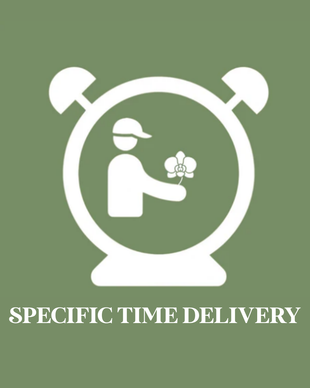 Specific Time Slot Delivery