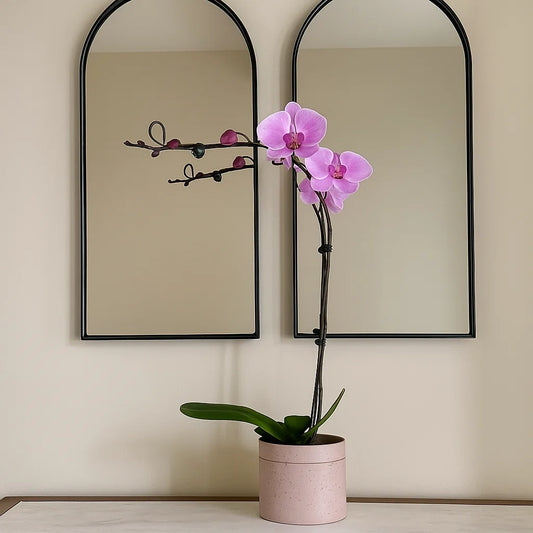 Monthly Subscription: 1  Large Stem Delivered Monthly