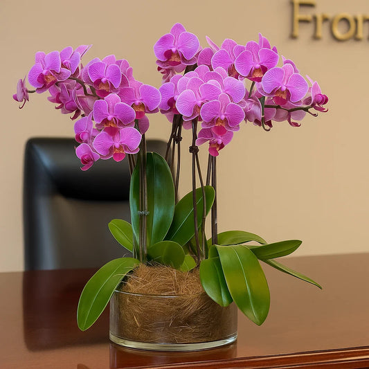 Monthly Subscription: 5 Medium Stems Delivered Monthly