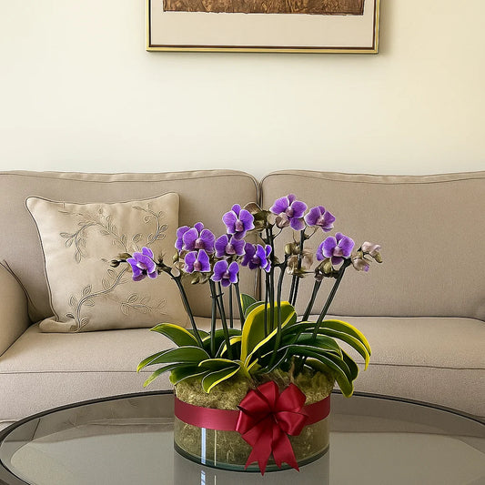 Monthly Subscription: 10 Medium Stems Delivered Monthly