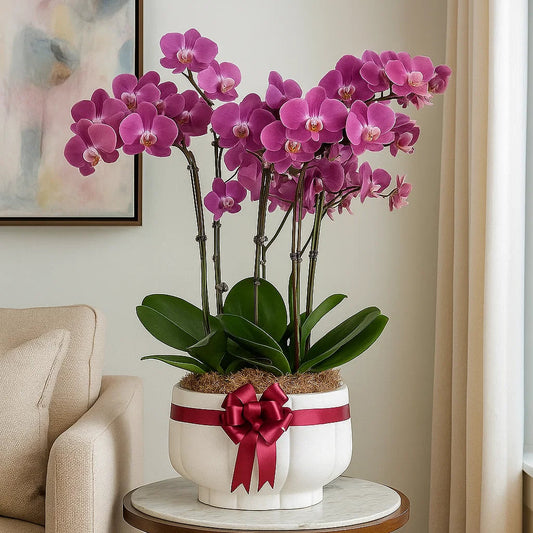 Monthly Subscription: 8 Large Stems Delivered Monthly