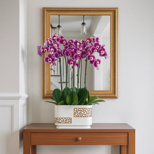 Monthly Subscription: 10 Large Stems Delivered Monthly
