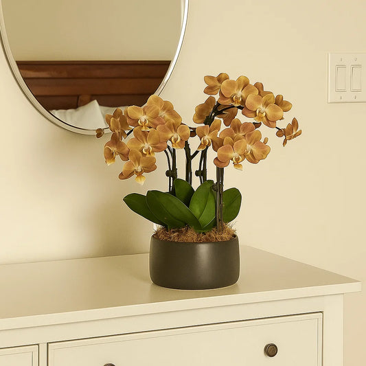 Monthly Subscription: 8 Medium Stems Delivered Monthly