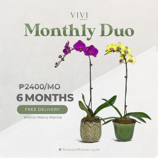 how to keep orchids blooming