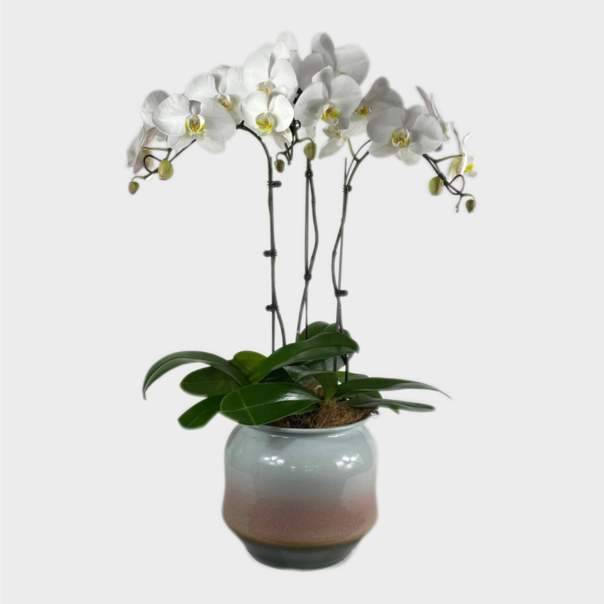 arrangements for birthdays